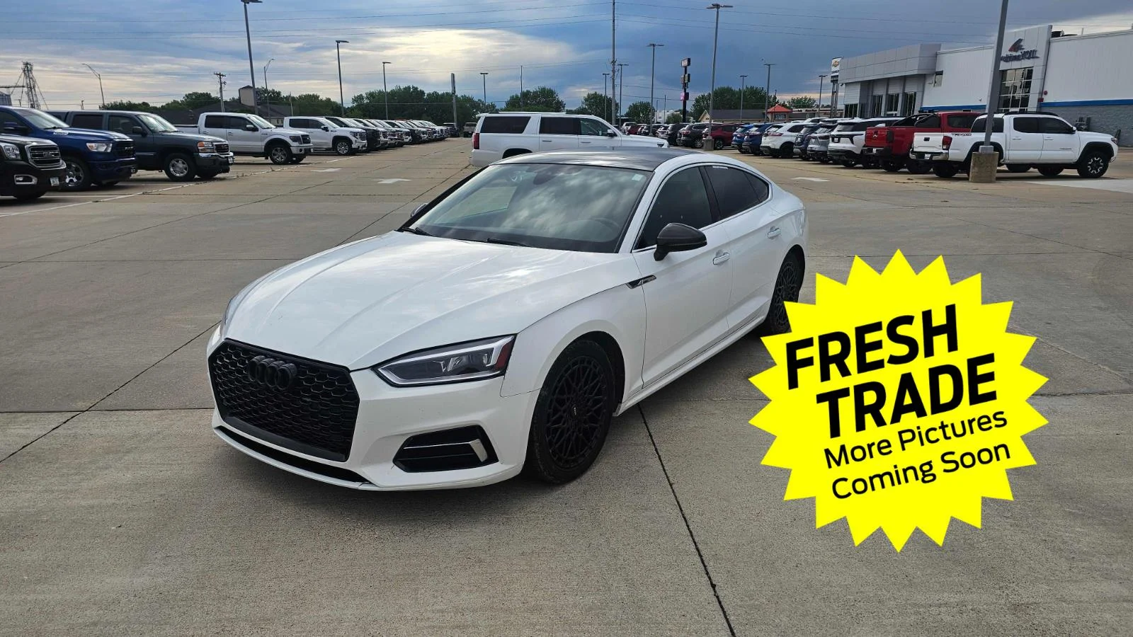 2019 Audi A5 Sportback 2.0T Premium quattro S tronic's photo