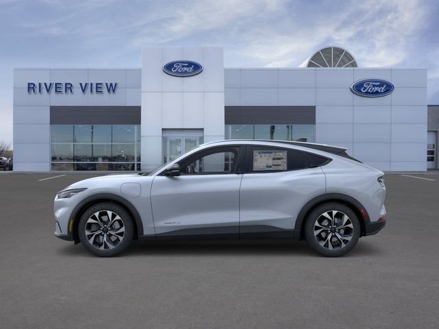 New 2026 Glacier Gray Metallic Tri-coat Ford Select image 3