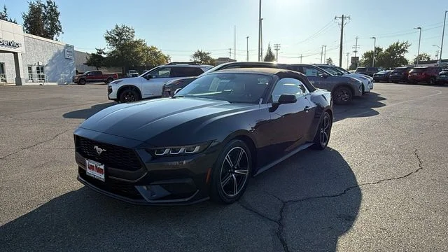 Used 2024 Gray Ford EcoBoost Premium image 1