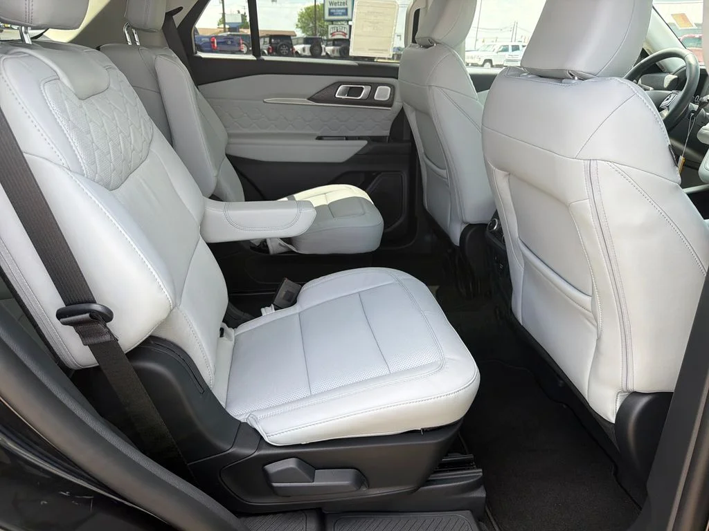 New 2026 Black Ford Platinum image 10