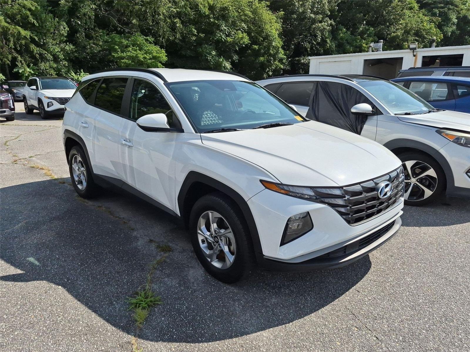 Used 2024 White Pearl Hyundai SEL image 3
