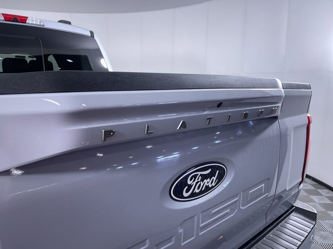 2025 Ford F-150 Platinum - Photo 24