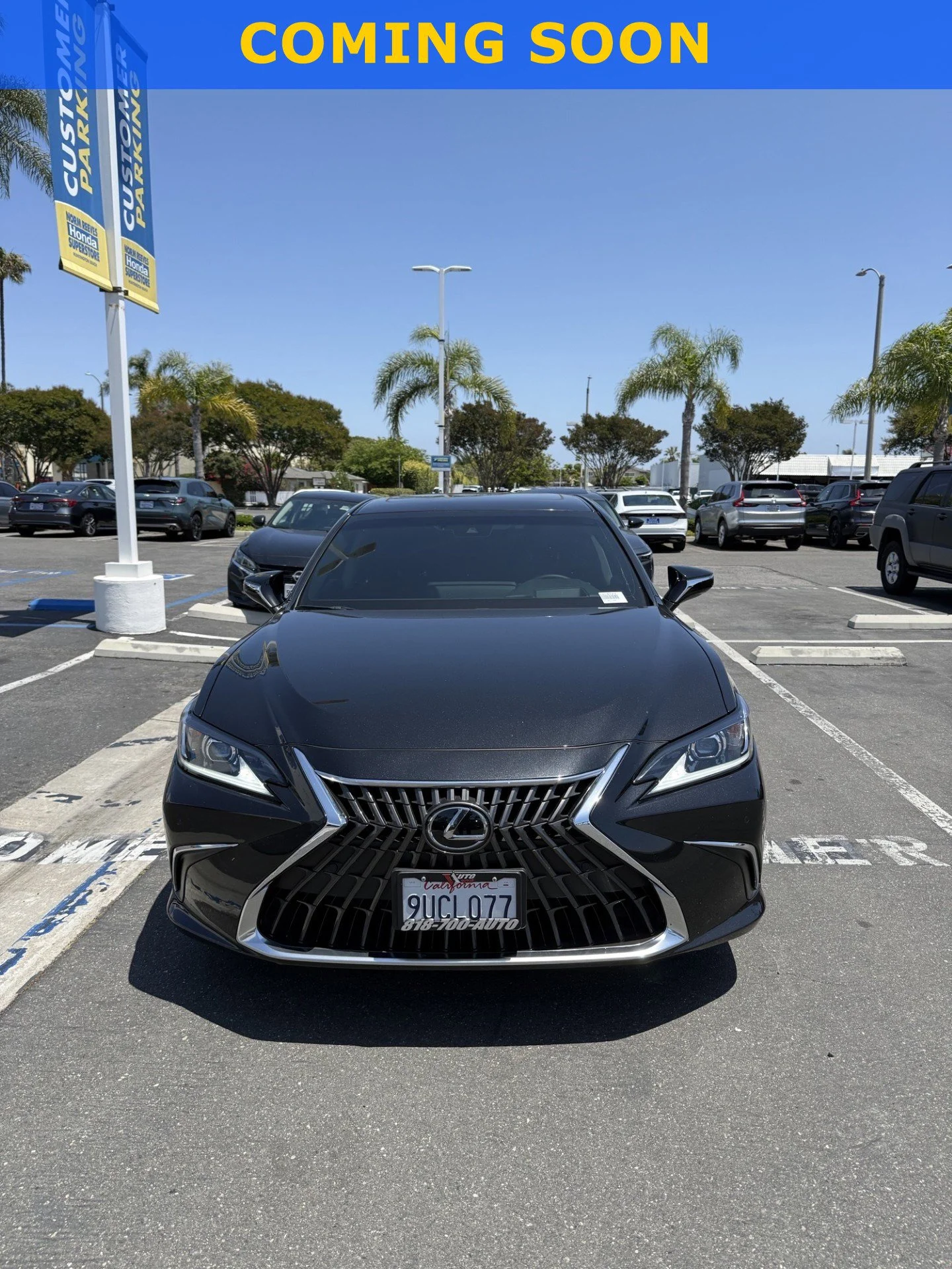2025 Lexus ES 300h 300h's photo
