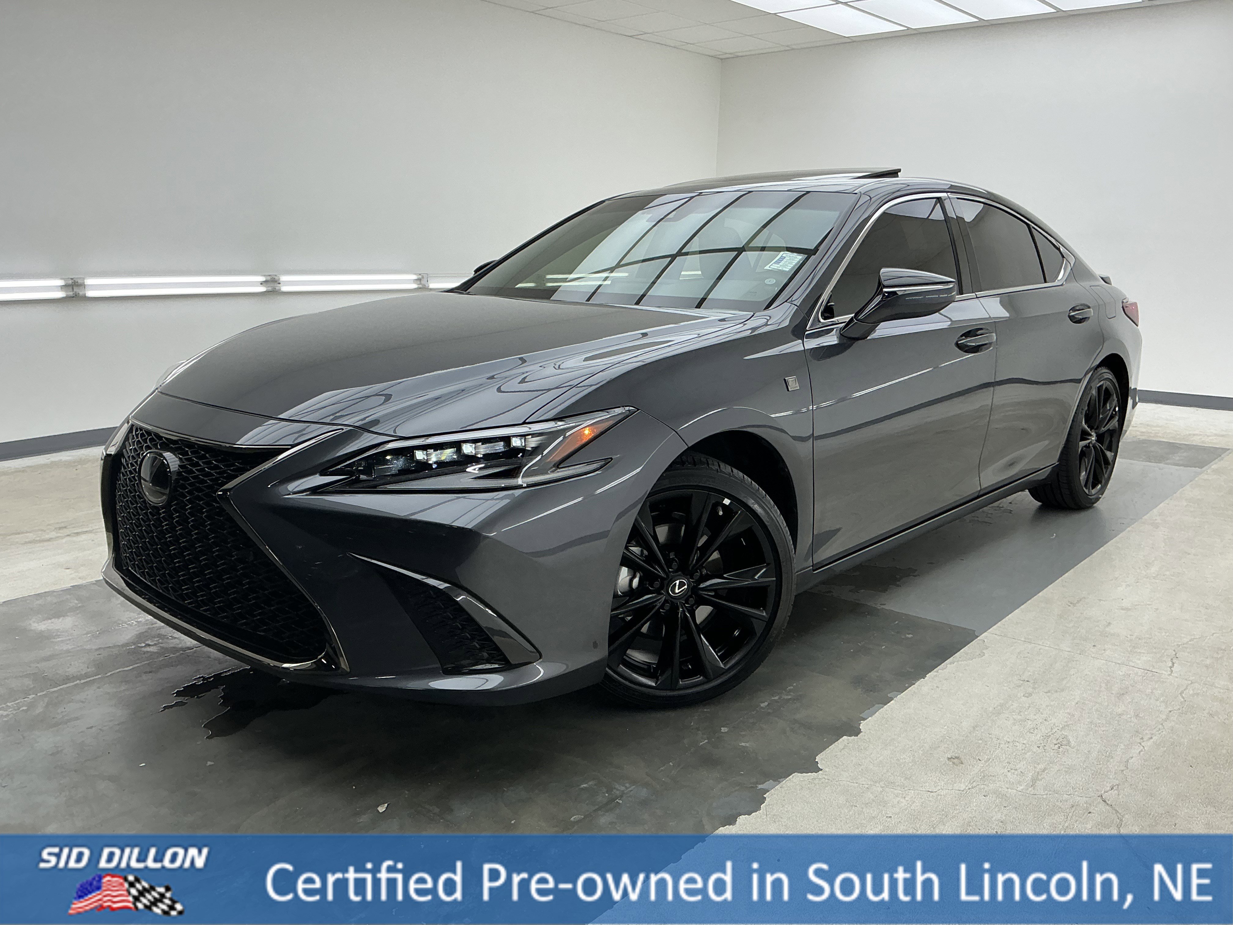 2025 Lexus ES 300h 300h's photo