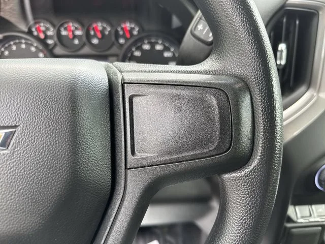 Used 2025 White Chevrolet WT image 21