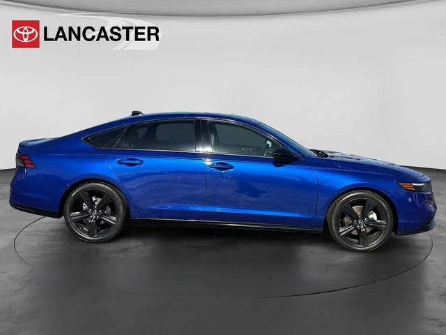 Used 2024 Blue Honda Sport-L image 8