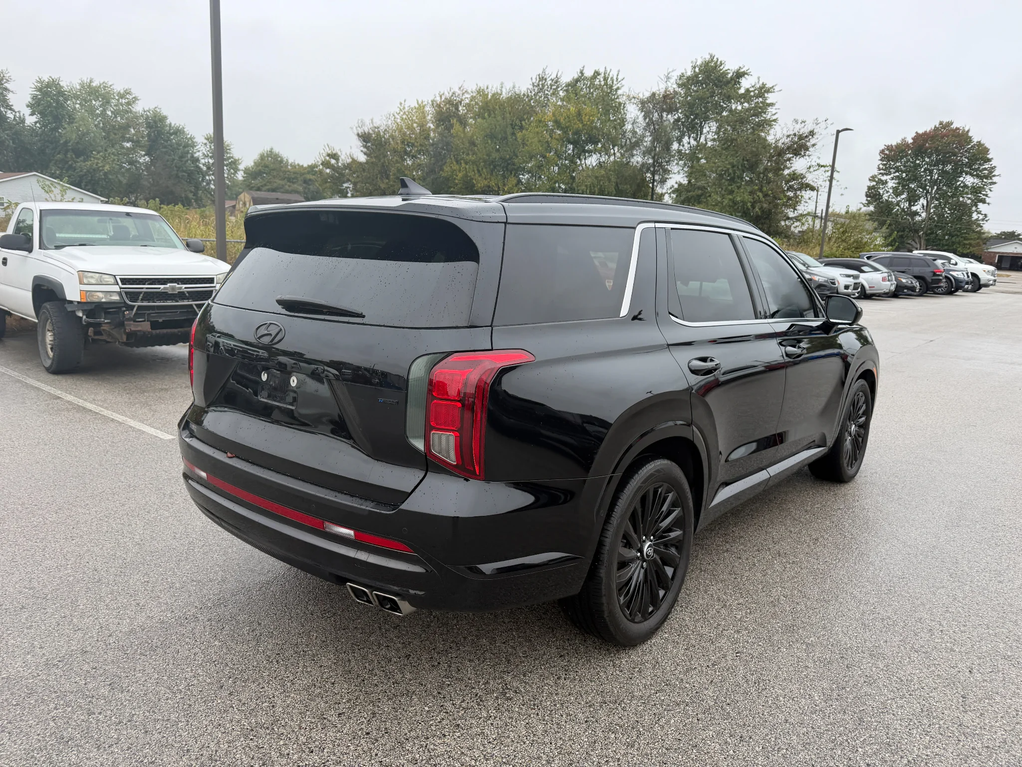 Used 2025 Abyss Black Pearl Hyundai Calligraphy Night Edition image 12
