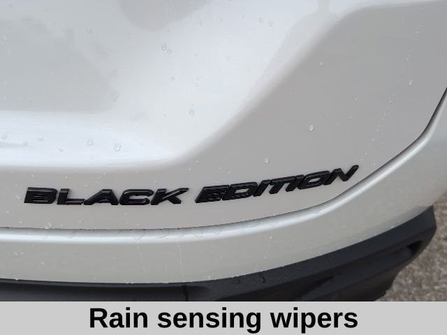 2026 Honda Pilot Black Edition - Photo 21