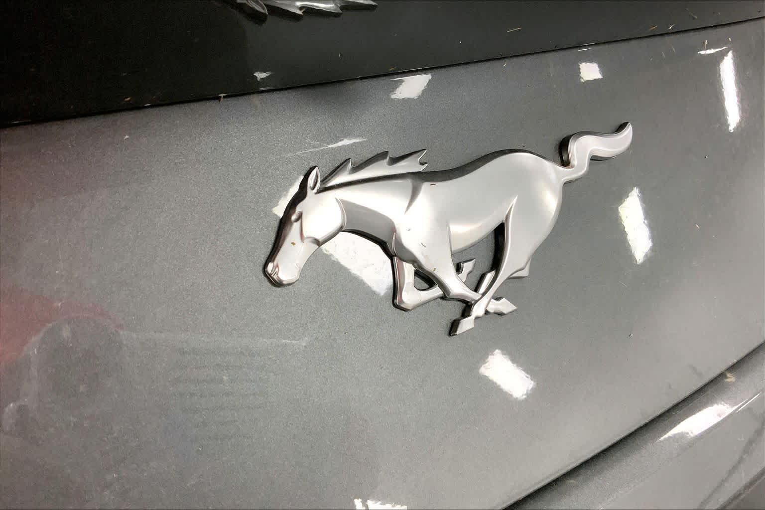 New 2026 Carbonized Gray Metallic Ford EcoBoost® Fastback image 12
