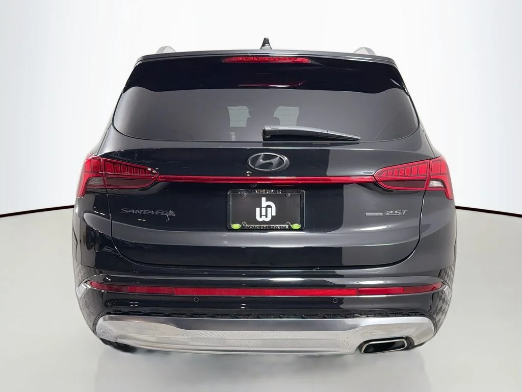 Used 2023 Black Hyundai Calligraphy image 6