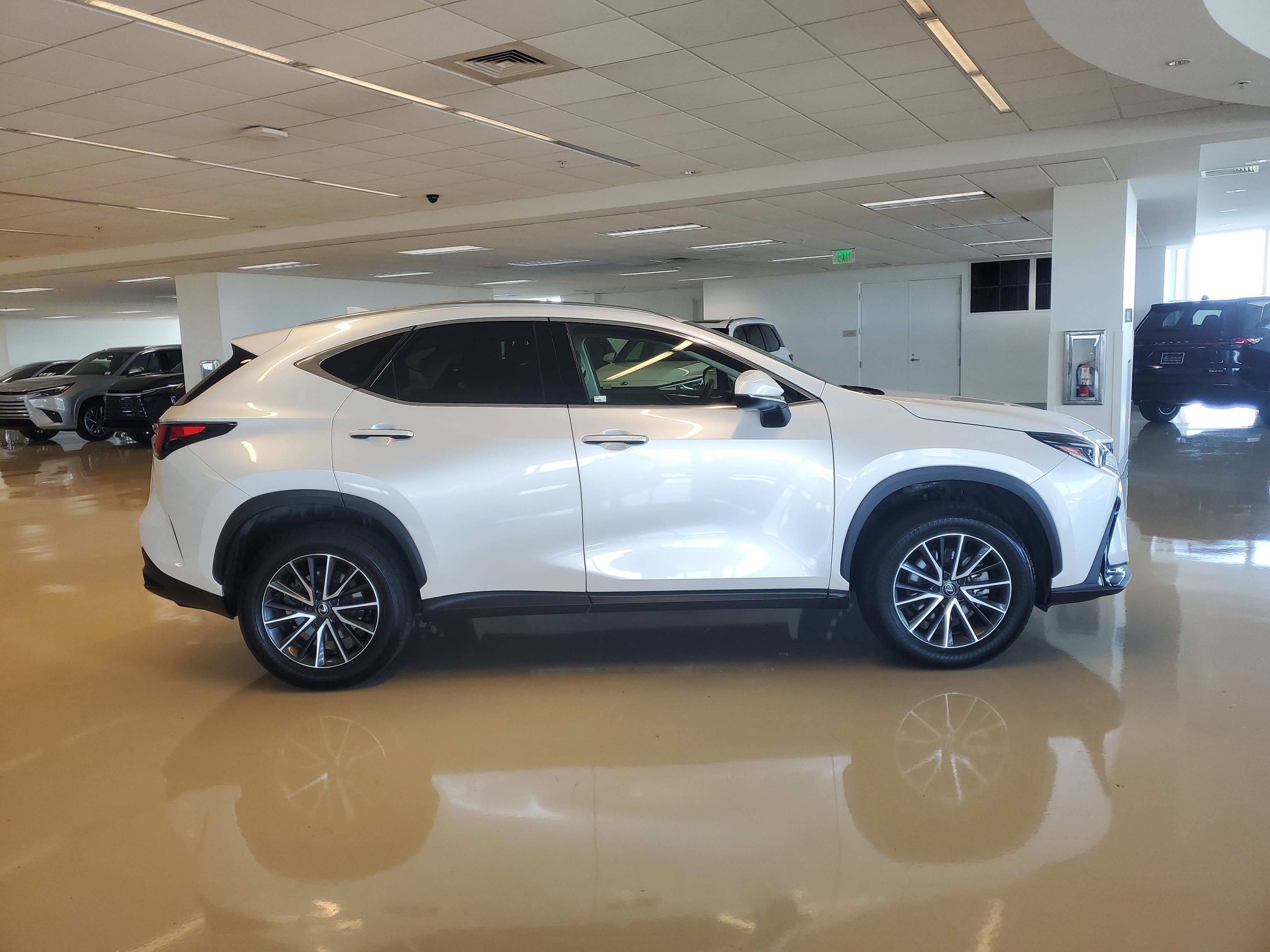Used 2024 Eminent White Pearl Lexus NX 250 Premium image 12