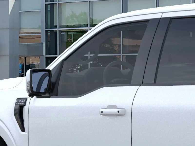 2025 Ford F-150 Platinum - Photo 20