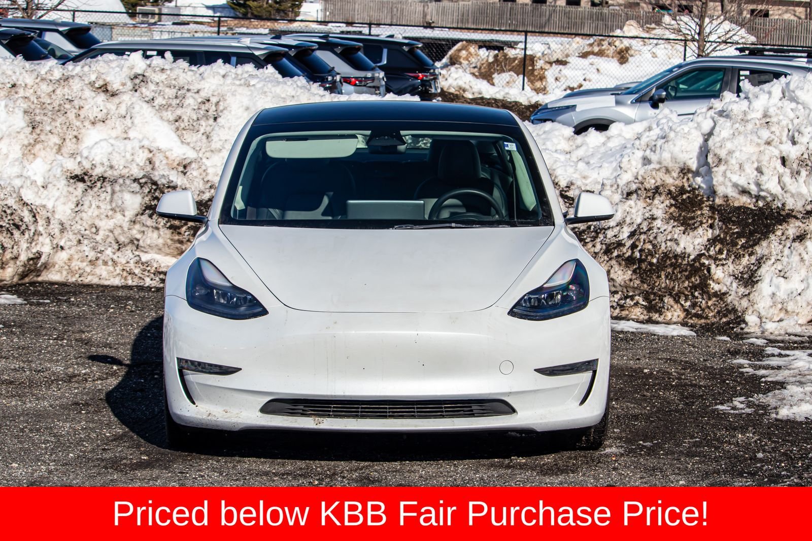 Used 2023 Tesla Model 3 Base with VIN 5YJ3E1EA5PF489819 for sale in Commack, NY