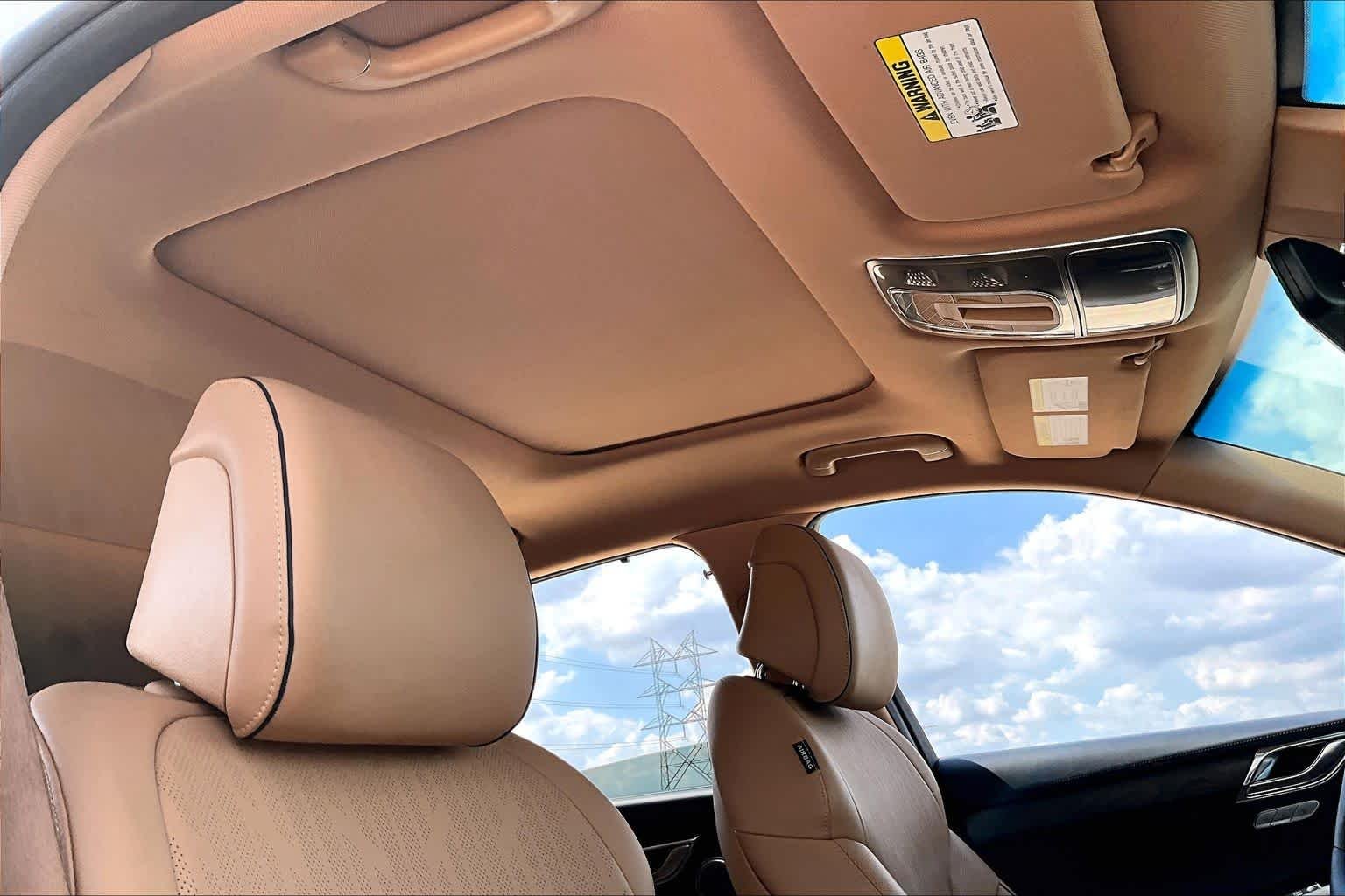 Used 2021 Alta White Genesis  image 14