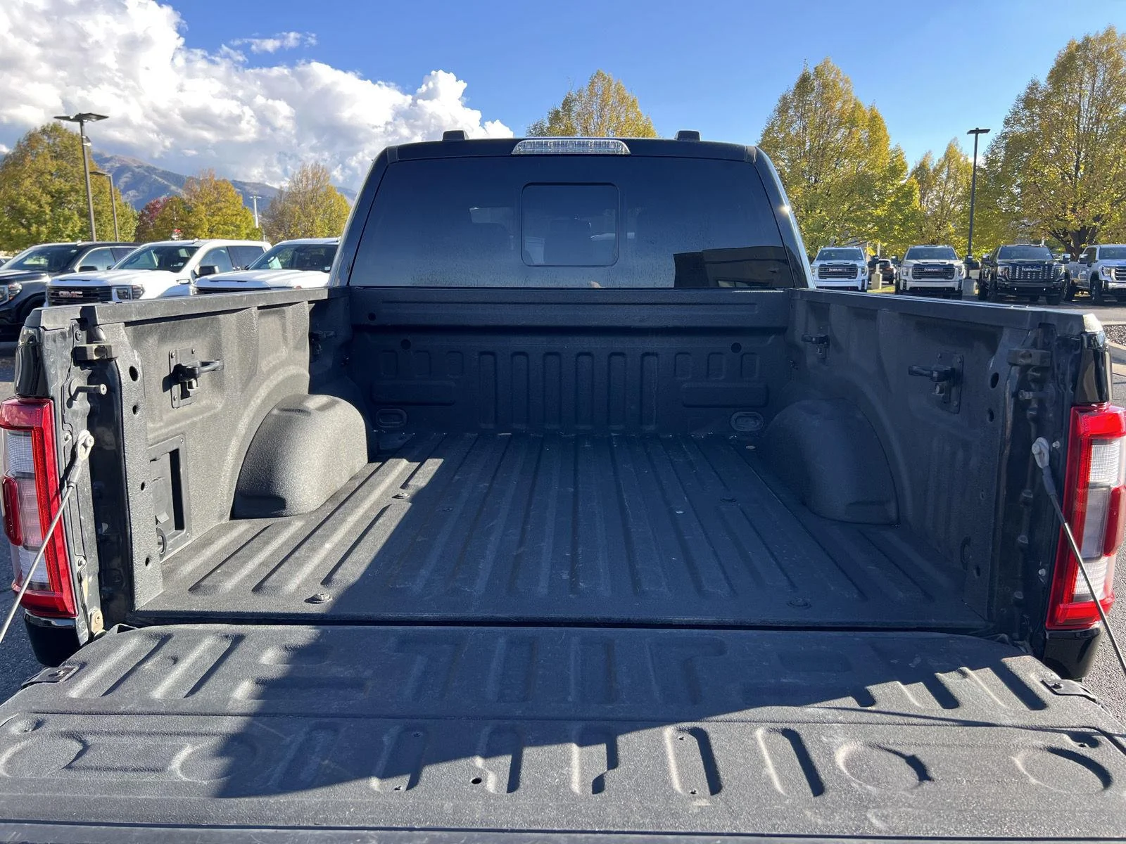 2022 Ford F-150 Raptor - Photo 7