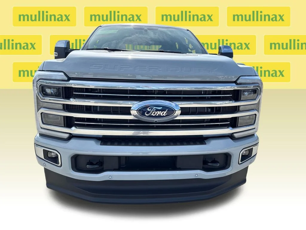 New 2026 White Ford Platinum image 14