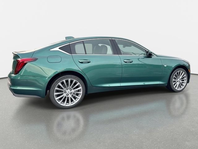 New 2026 Typhoon Metallic Cadillac Premium Luxury image 6