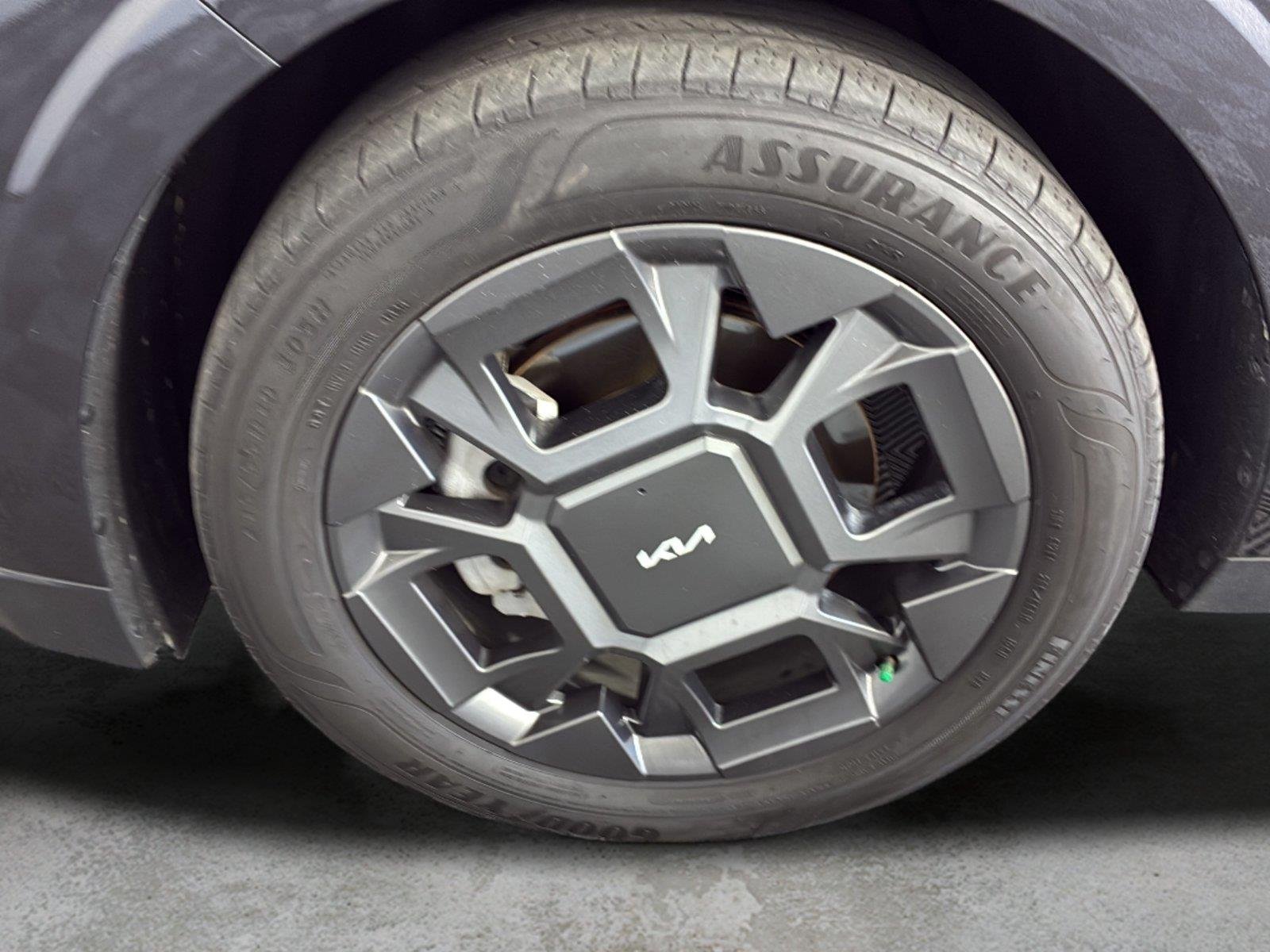 Used 2026 Panthera Metal Kia SX image 10