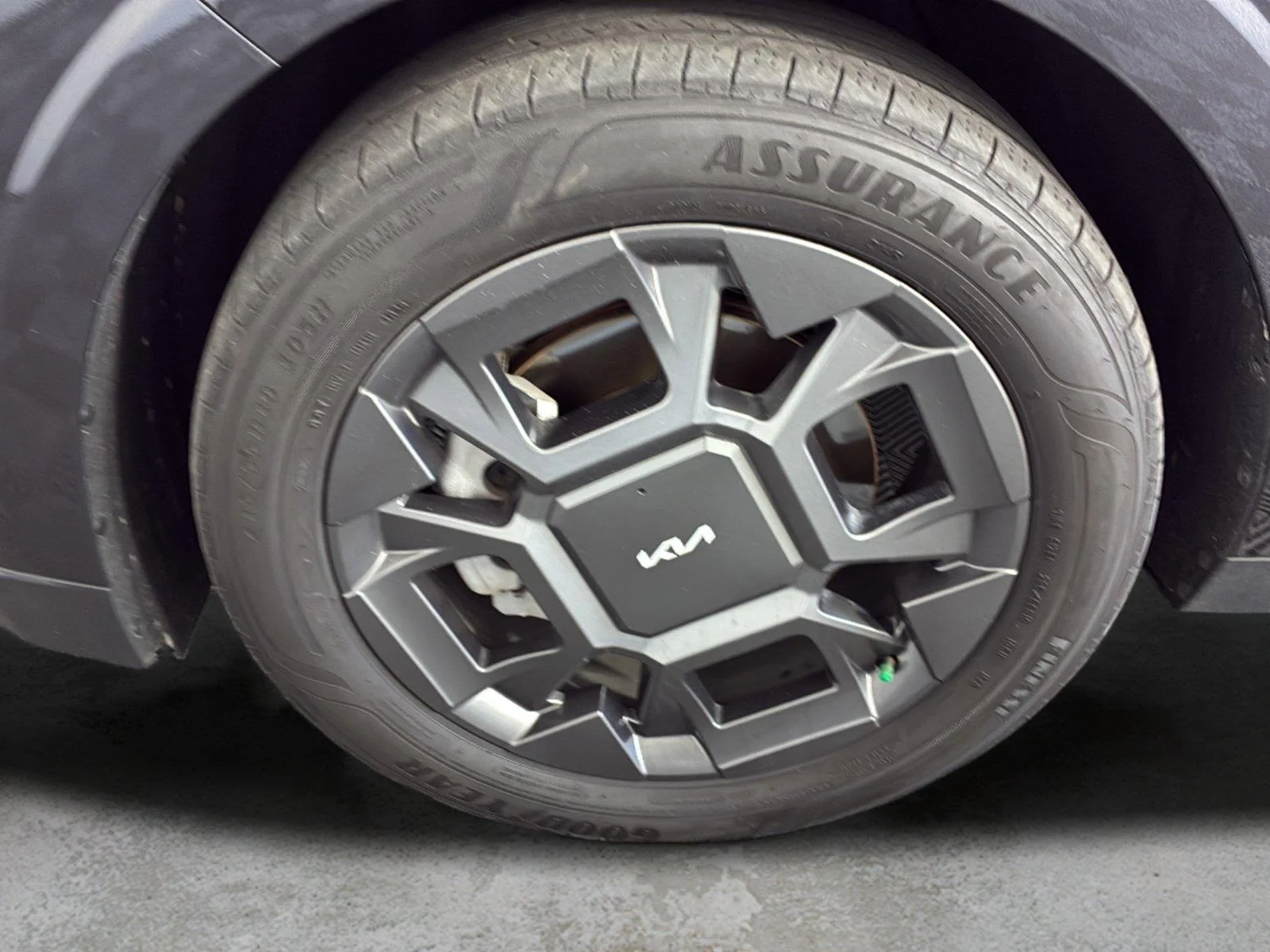 Used 2026 Panthera Metal Kia SX image 10