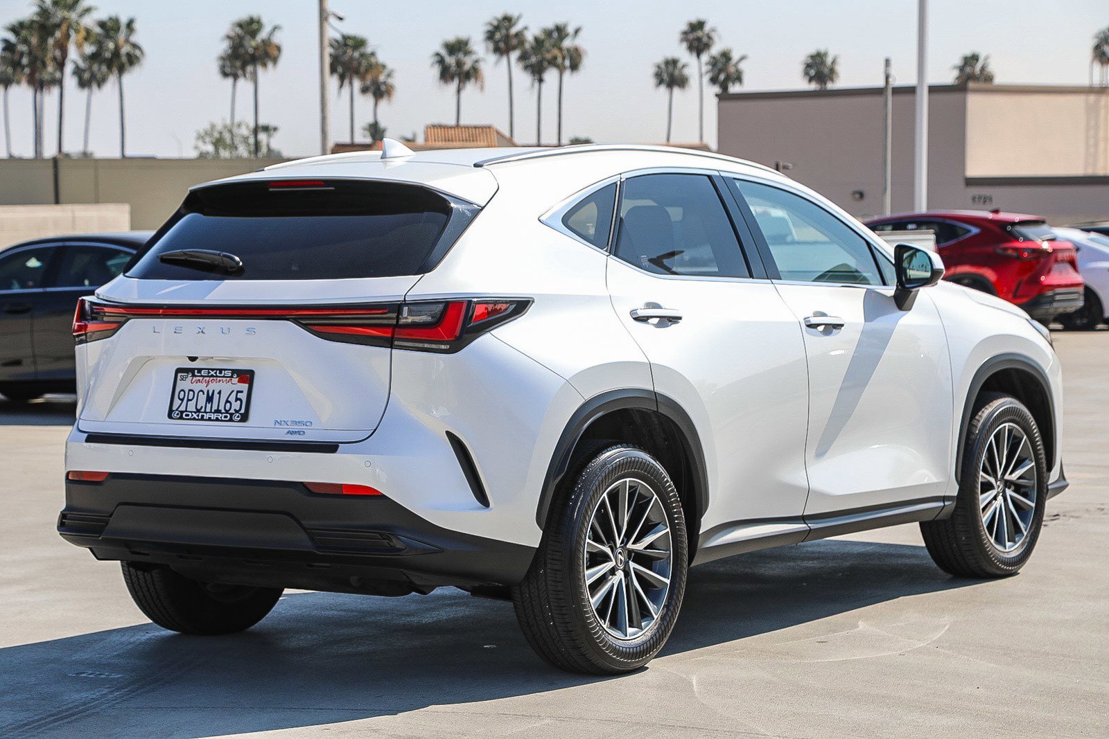 2025 Lexus NX 350 - Photo 6