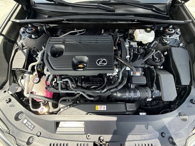 Certified Used 2025 CAVIAR Lexus 300h image 27