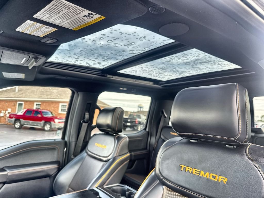 Used 2025 Silver Ford Tremor image 22