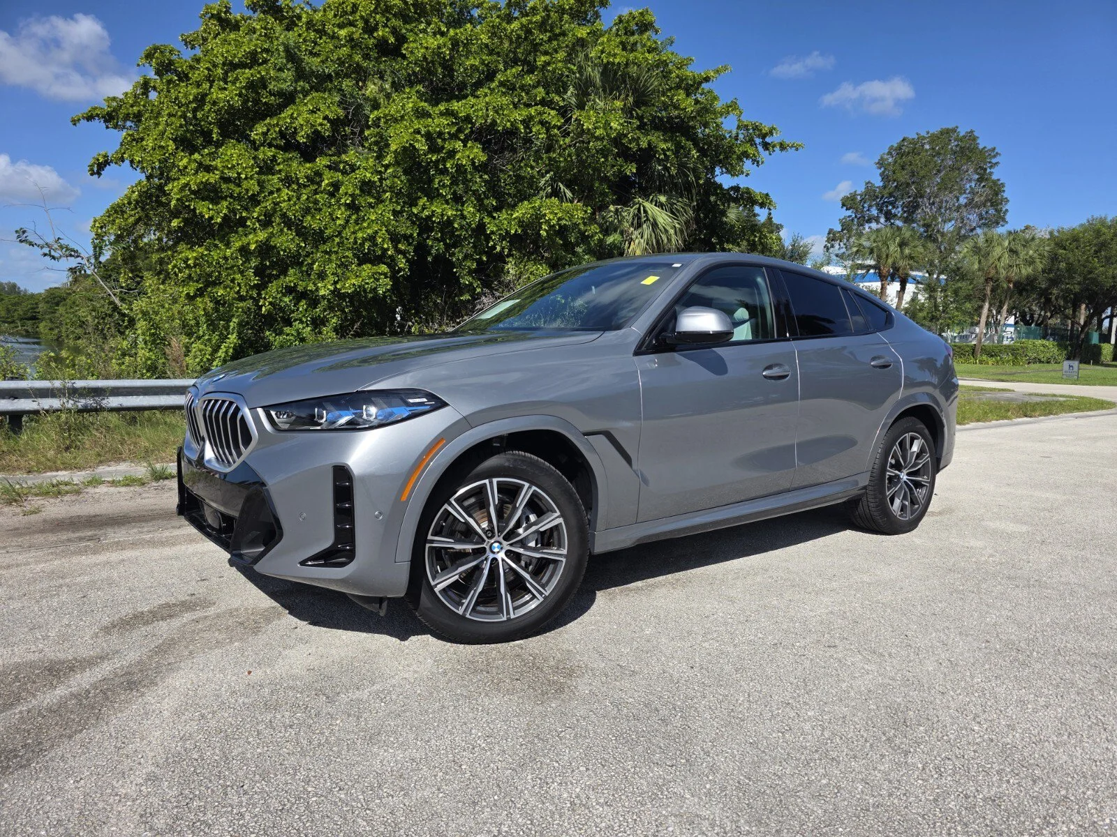 2025 BMW X6