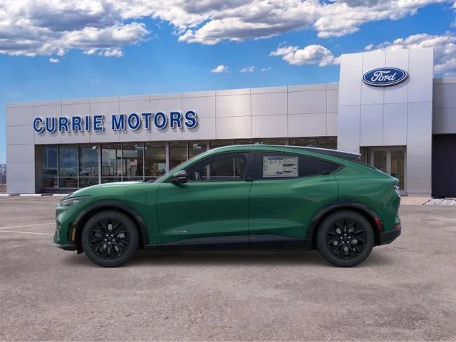 New 2026 Eruption Green Metallic Ford Premium image 25