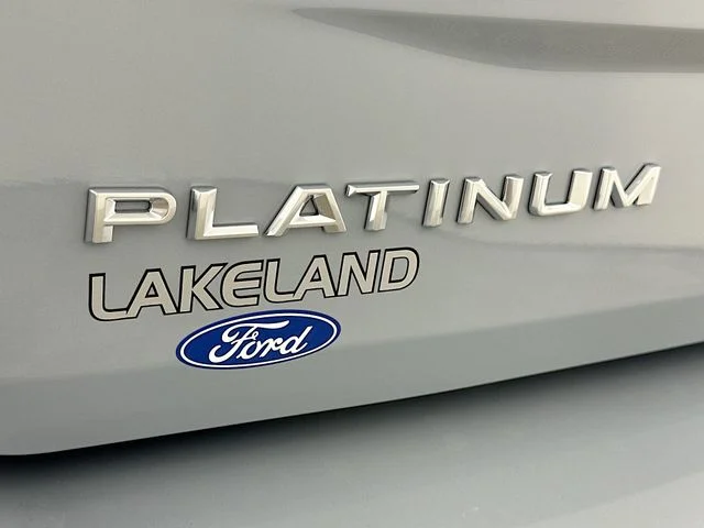 New 2026 Gray Ford Platinum image 29