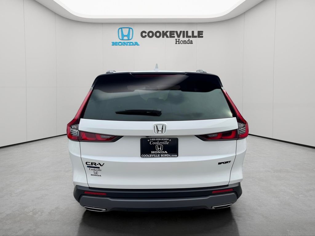 Used 2026 Platinum White Pearl Honda Sport image 5