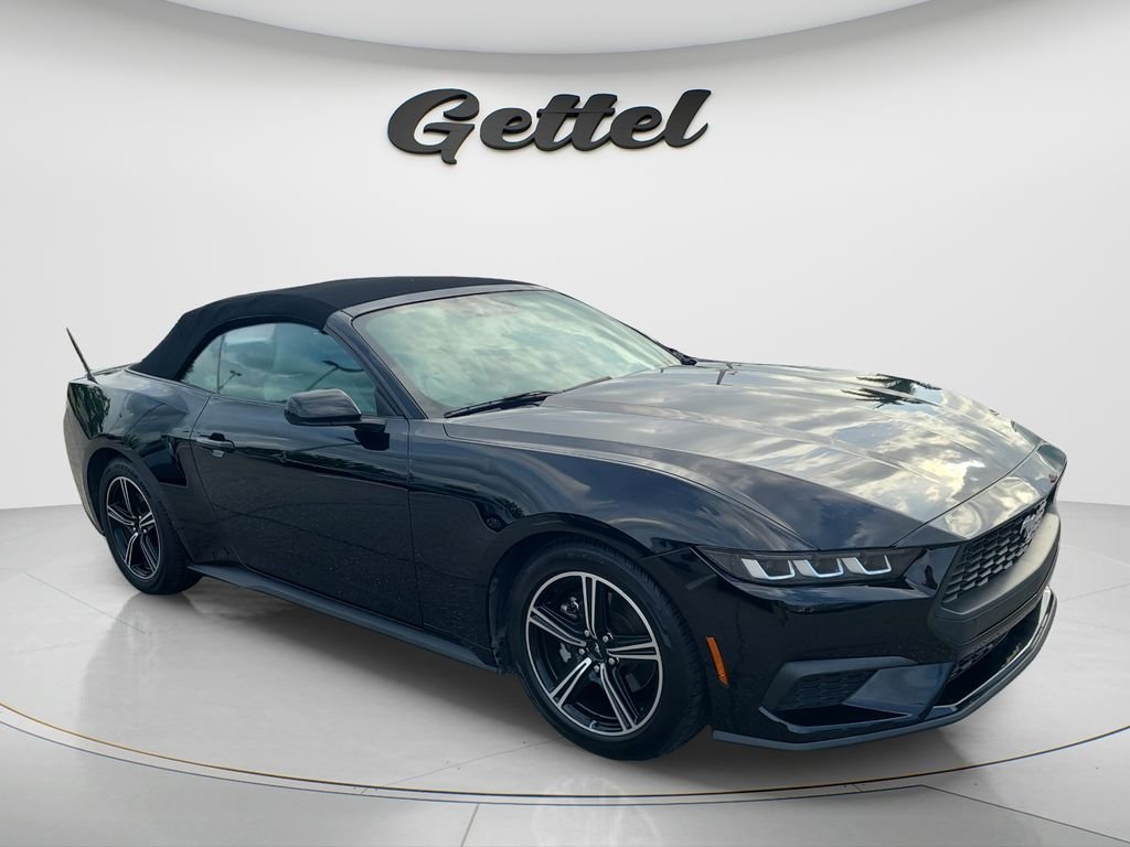 Used 2024 Black Ford EcoBoost Premium image 3