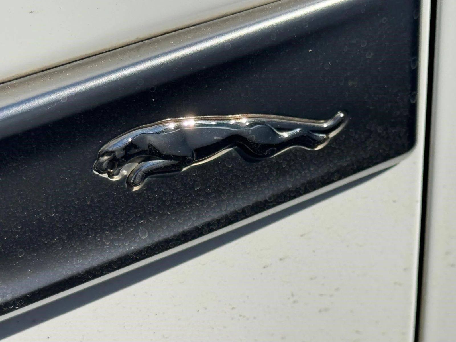 Used 2021 Fuji White Jaguar S image 4