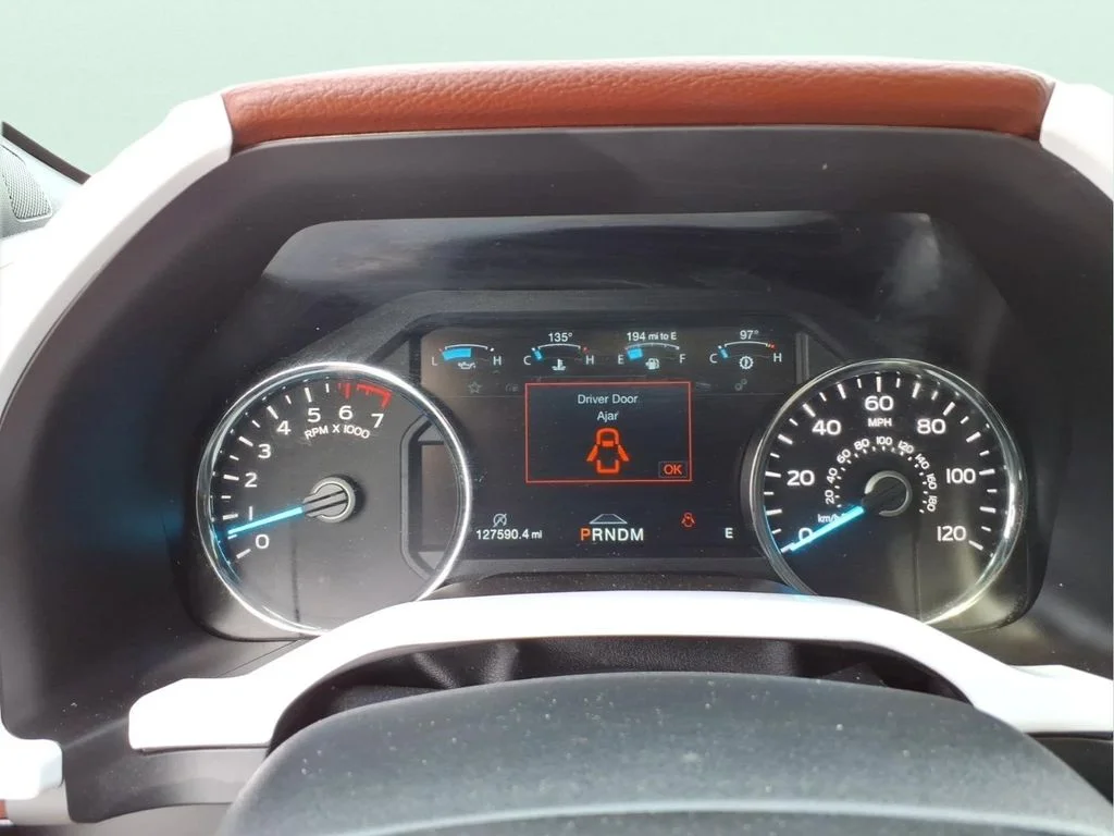 Used 2020 White Ford Platinum image 19