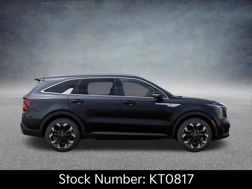 New 2026 Panthera Metal Kia EX image 7