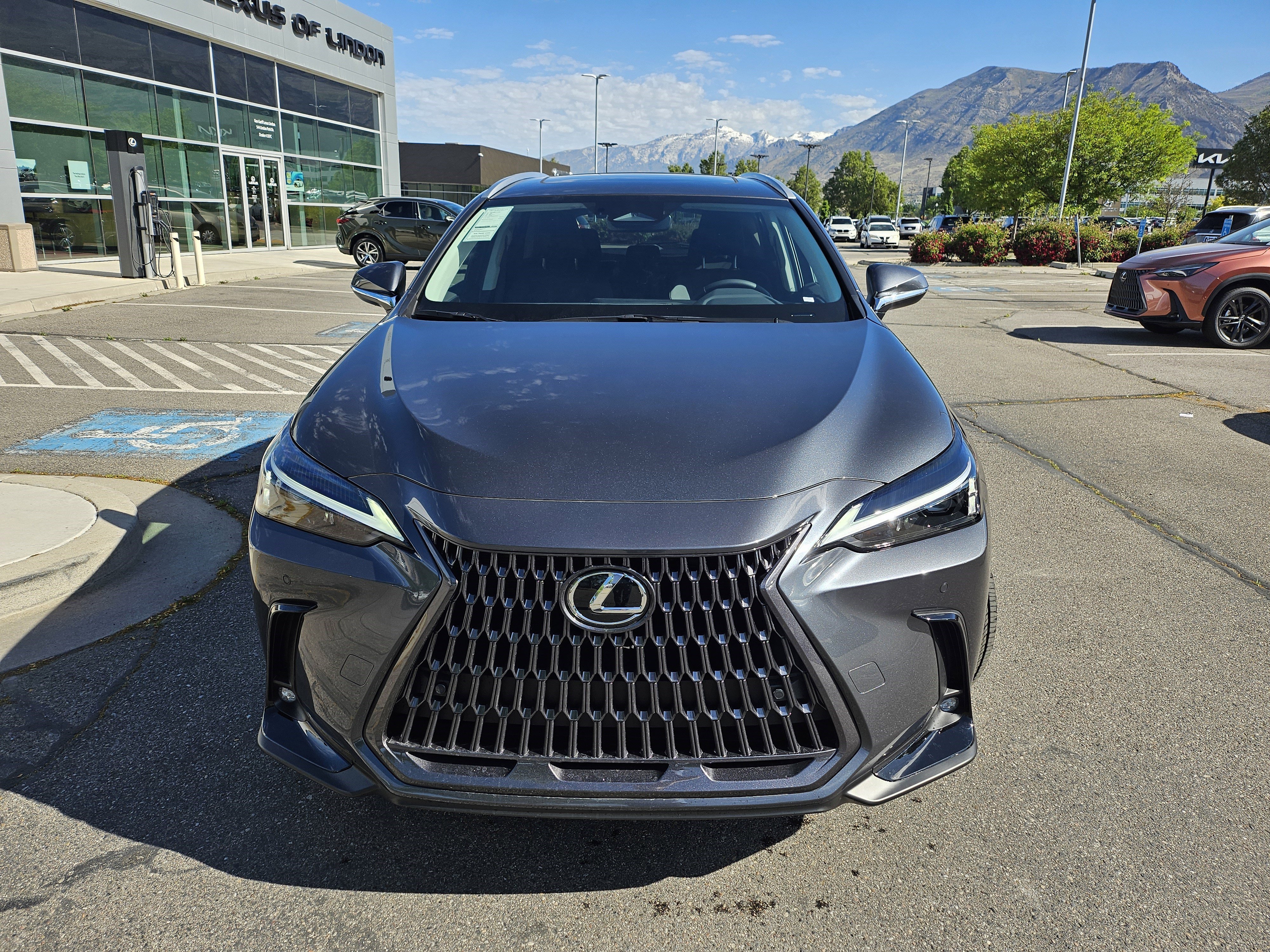 New 2026 Cloudburst Gray Lexus PREMIUM image 2
