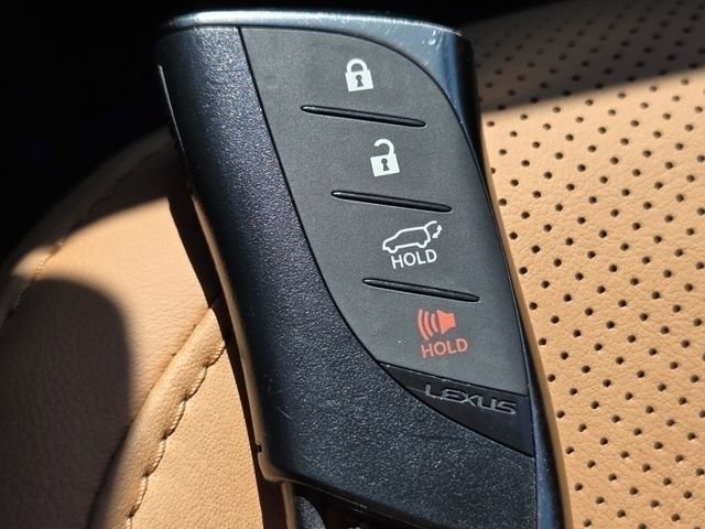 2025 Lexus RX 350 - Photo 34