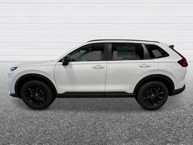 New 2026 Platinum White Pearl Honda Sport-L image 3