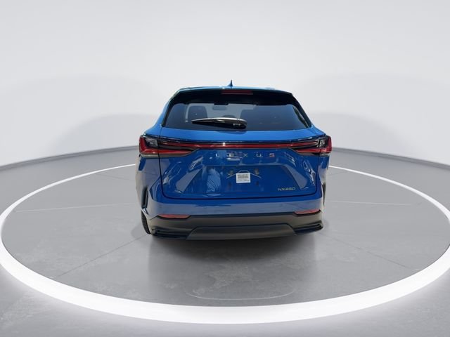 2022 Lexus NX 250 - Photo 7