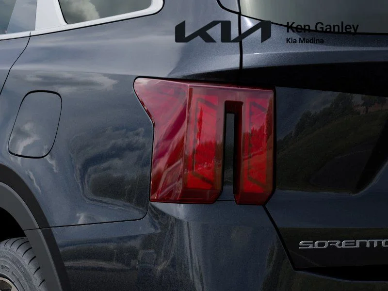 New 2026 Panthera Metal Kia EX image 11