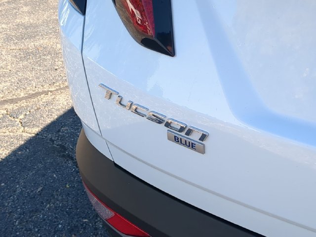 Used 2024 White Hyundai Blue image 29