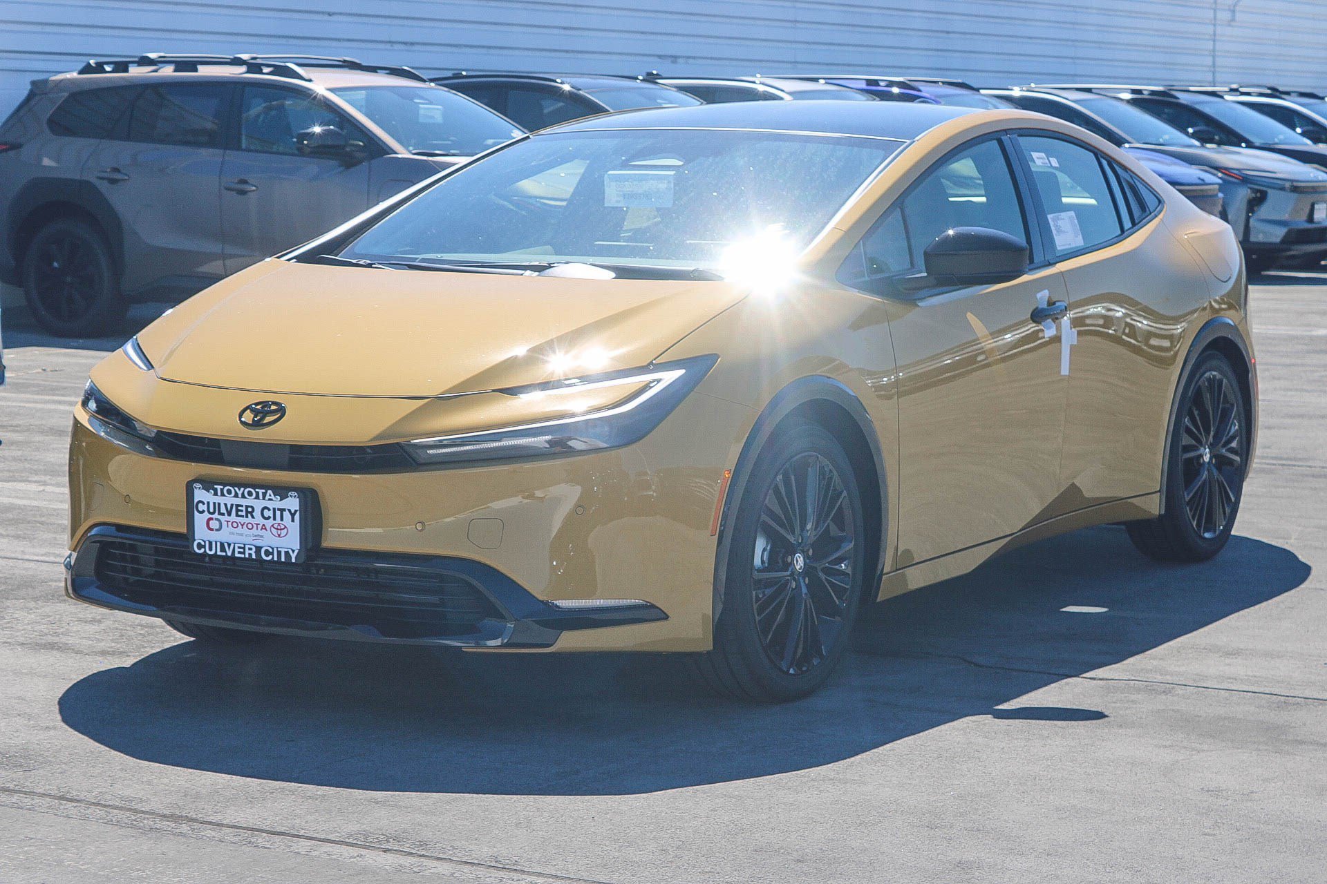 New 2027 Karashi Toyota  Nightshade image 3