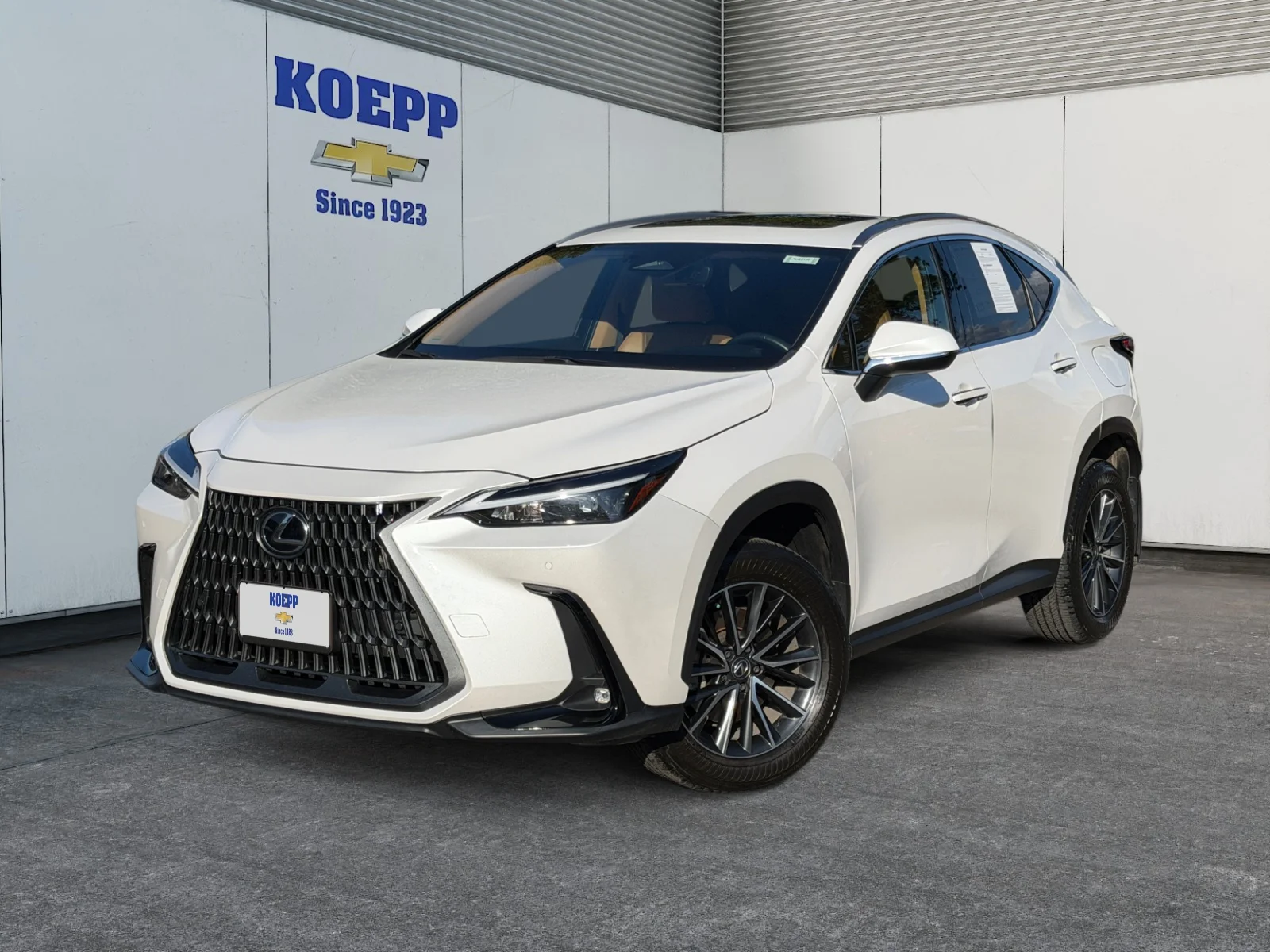 2024 Lexus NX