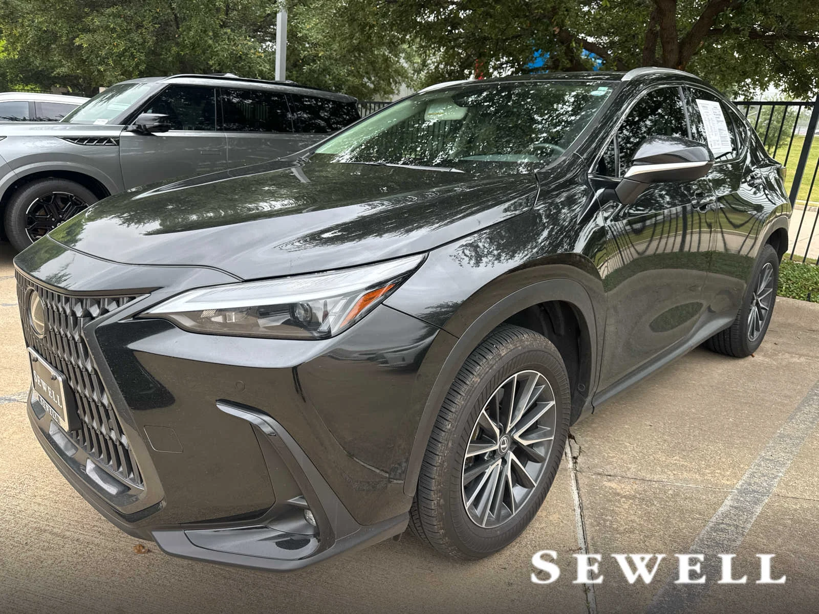 2025 Lexus NX 350's photo