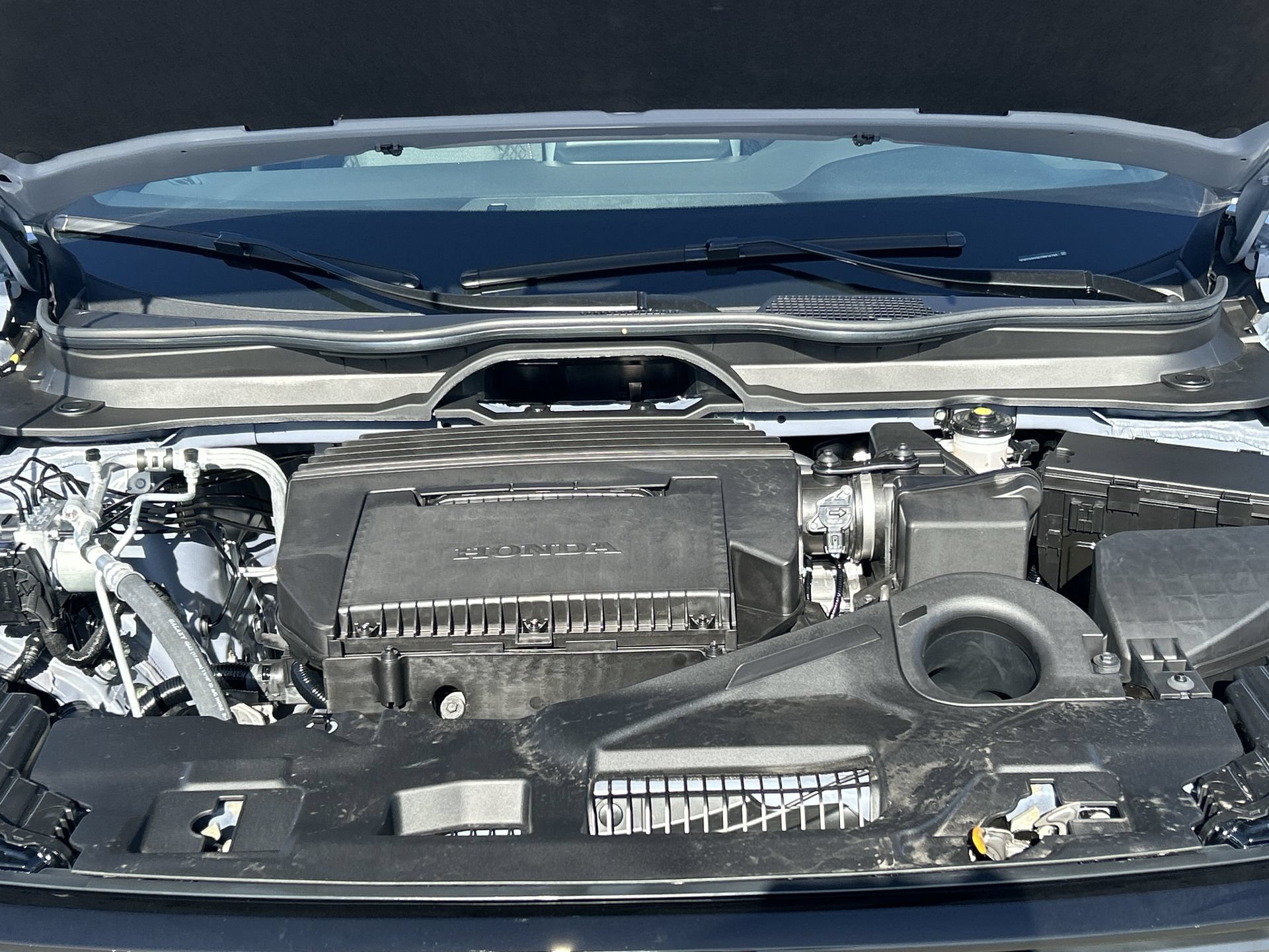 New 2026 Sonic Gray Pearl Honda Sport image 17