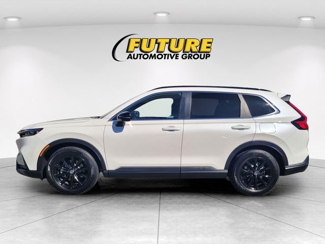 Used 2025  Honda Sport image 6