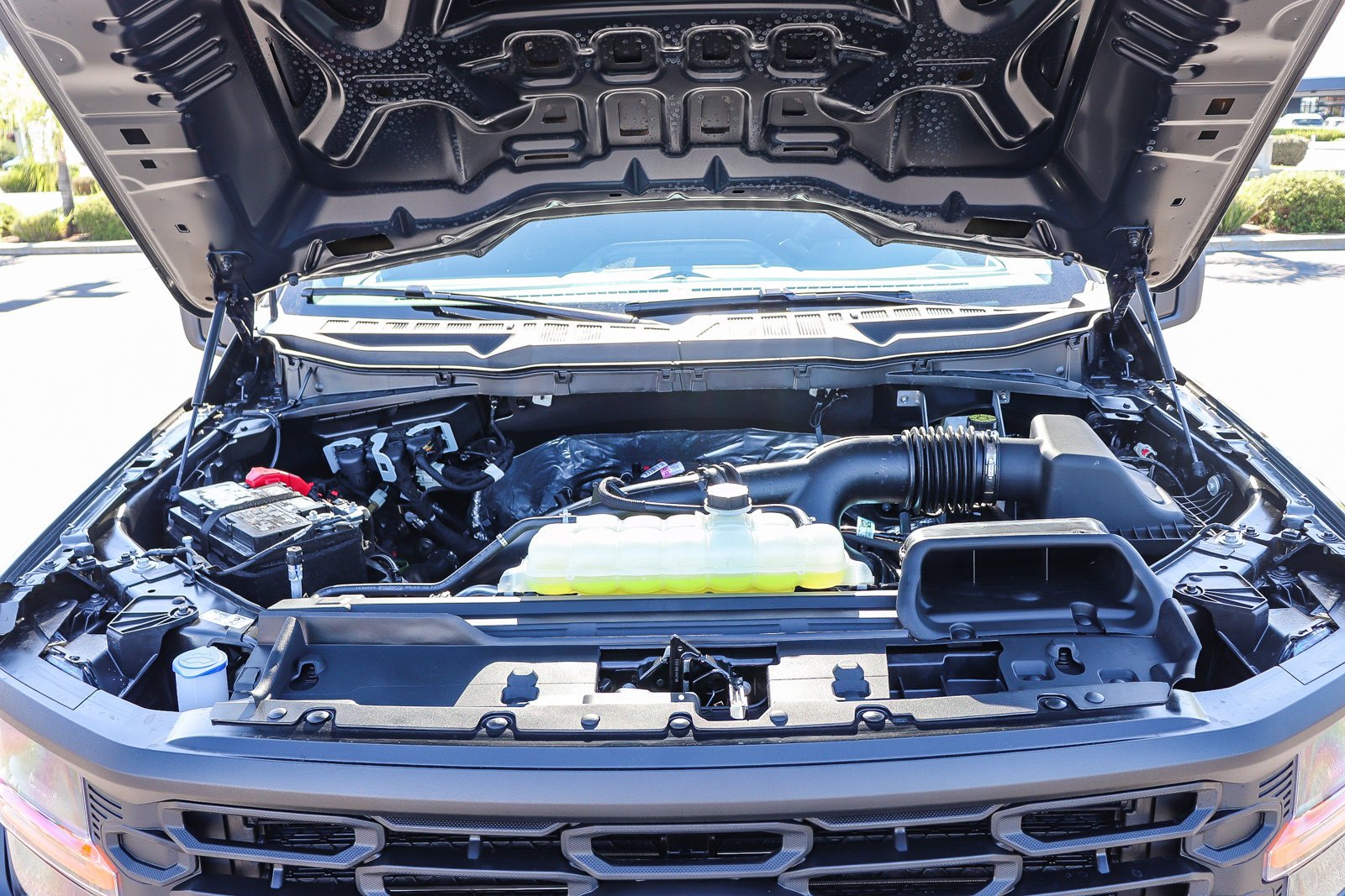 New 2026 Marsh Gray Ford STX® image 29