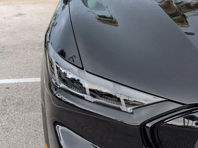 New 2026 Shadow Black Ford Premium image 10