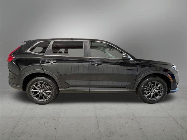 New 2027 Crystal Black Pearl Honda EX-L image 7