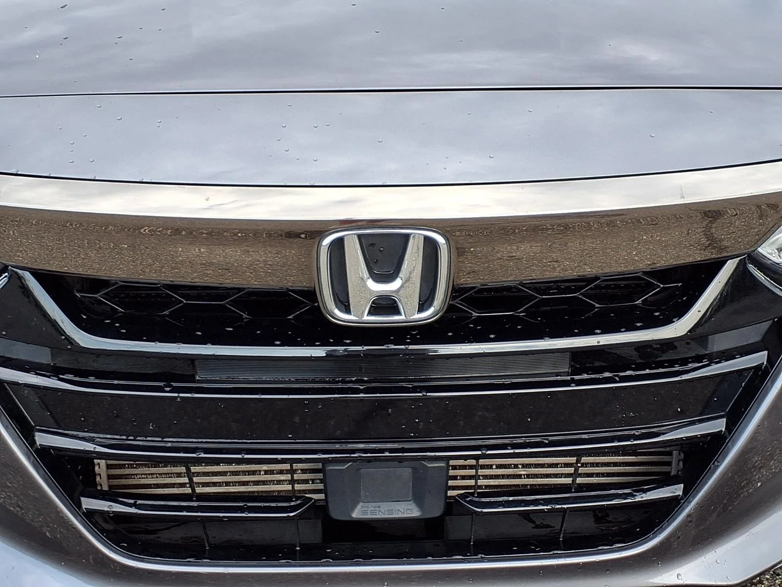 Used 2019 Modern Steel Metallic Honda Sport 1.5T image 14