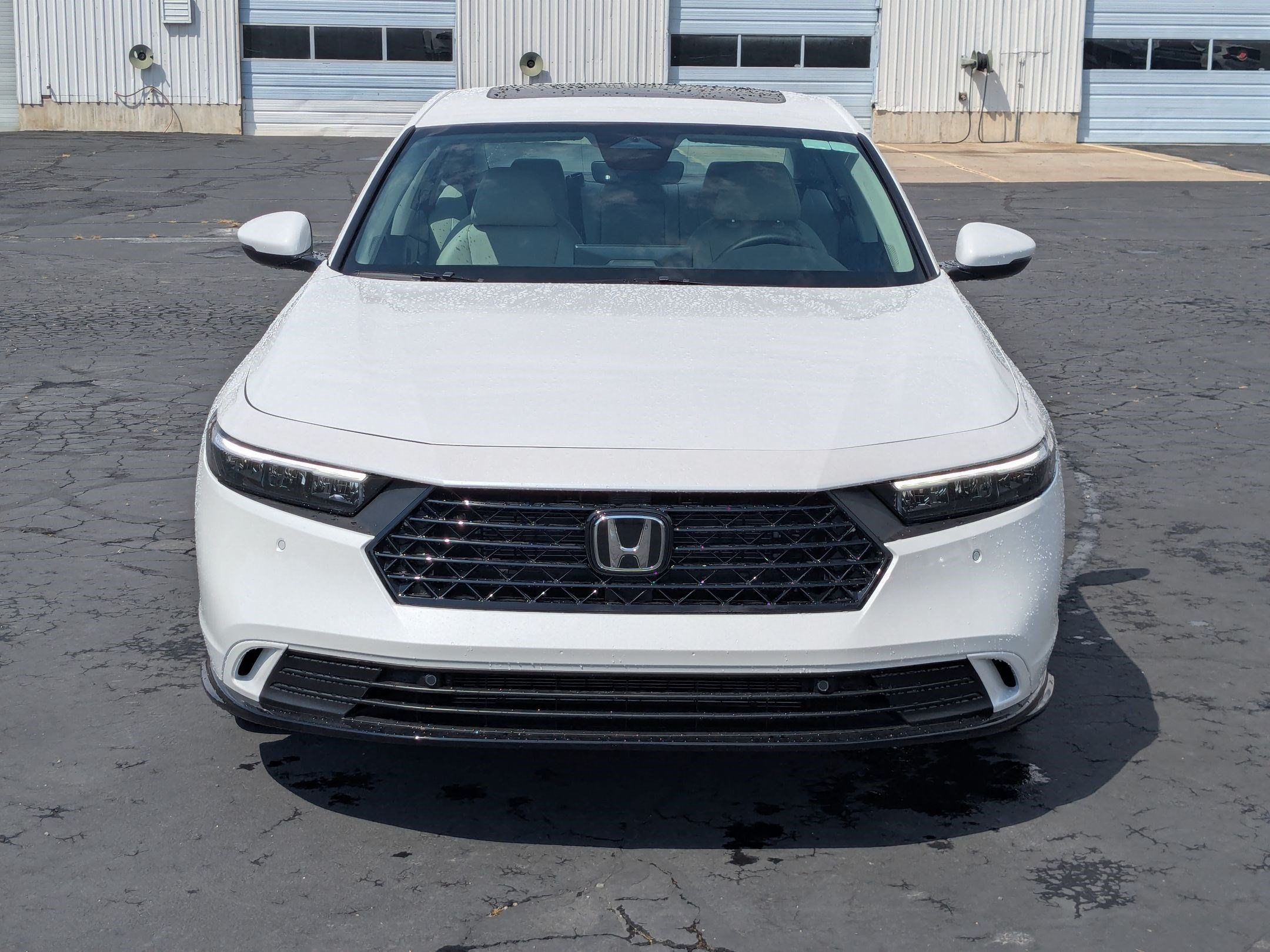 New 2026 Platinum White Pearl Honda EX-L image 9